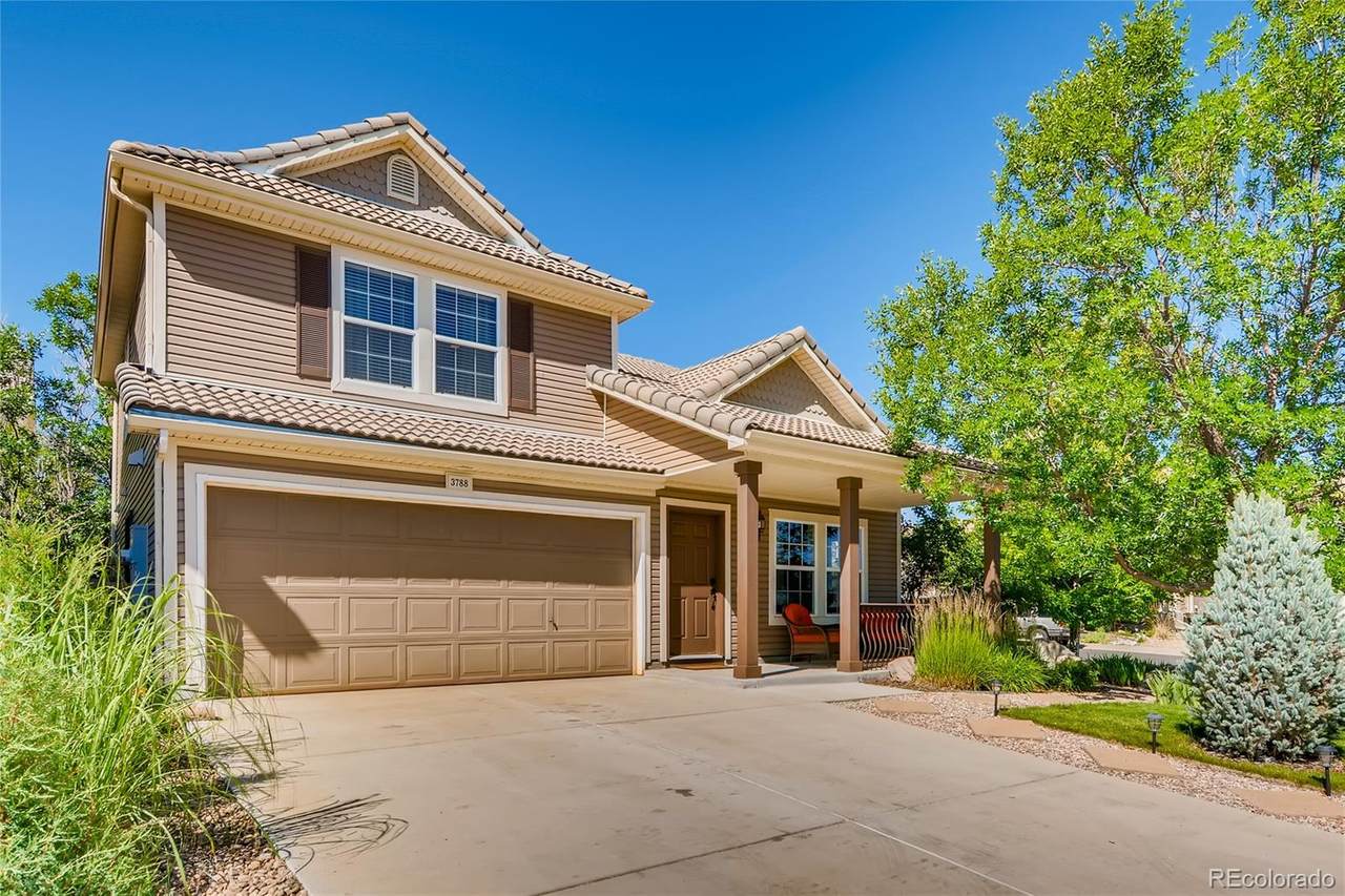3788 Dinosaur Street - Photo 1