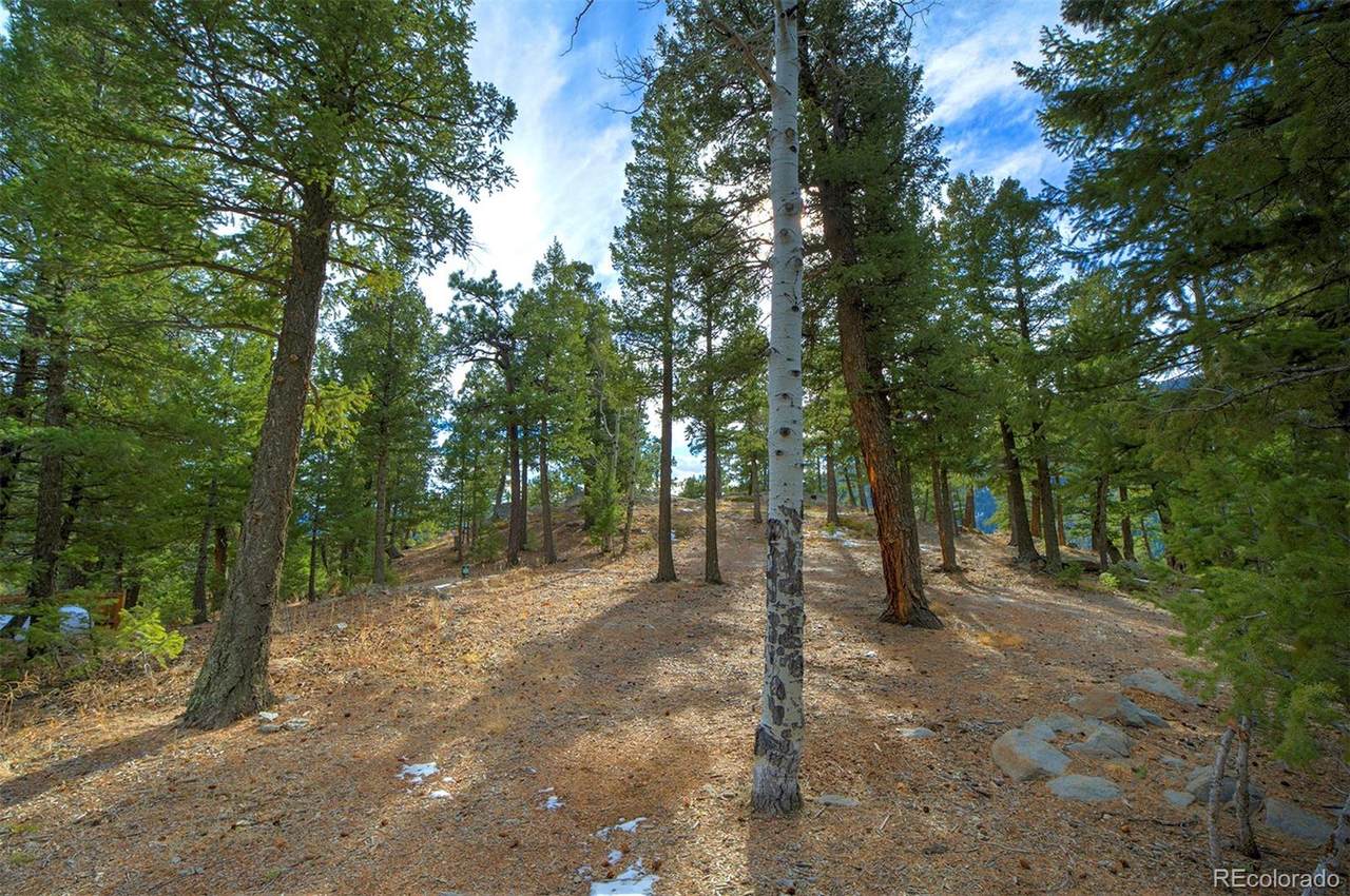 977 Snyder Mountain - Photo 1