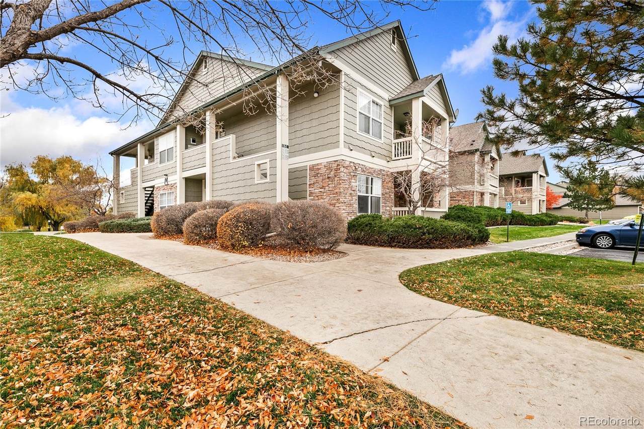 5225 White Willow Drive - Photo 1