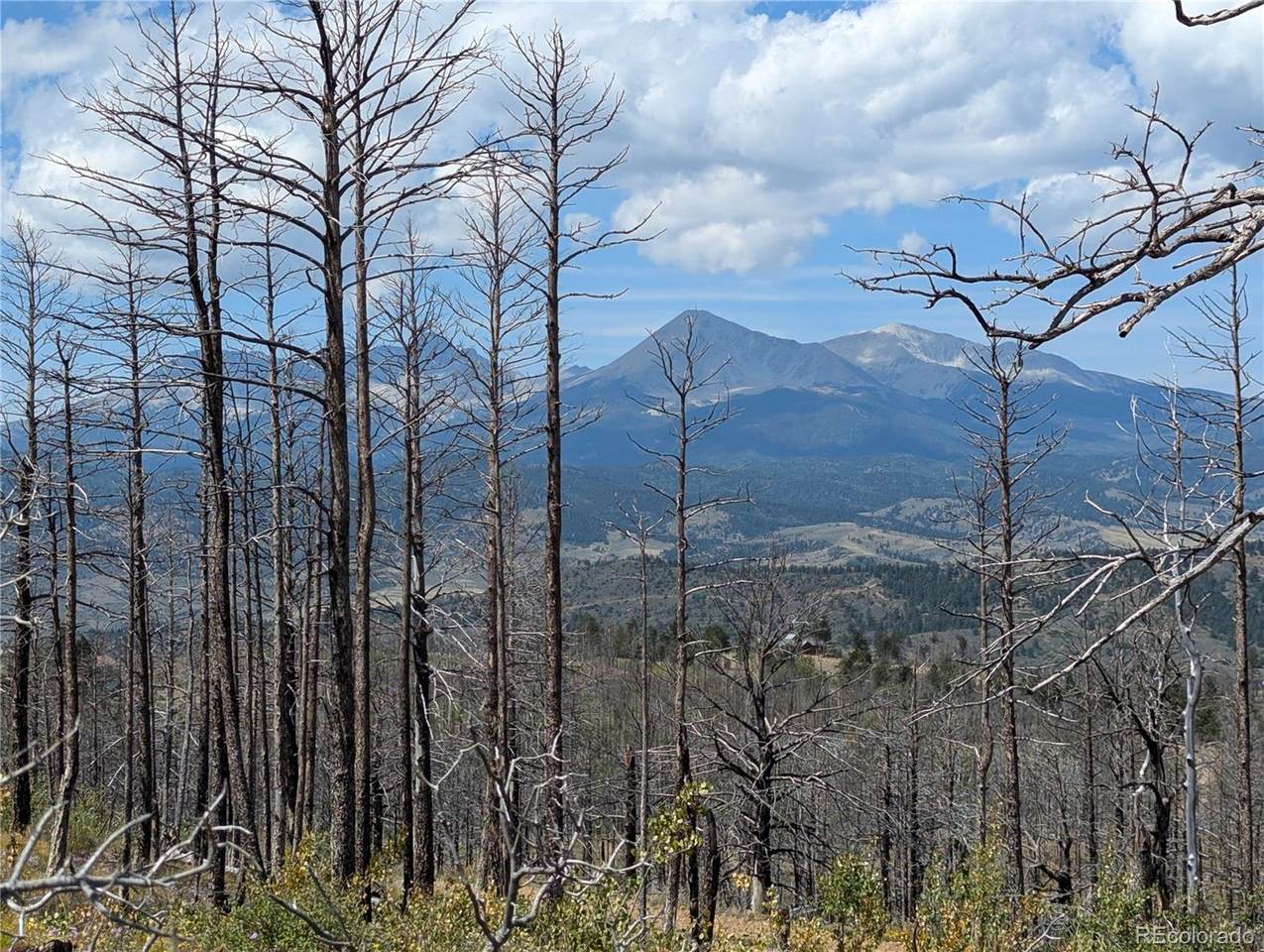 349 Macnaughton Drive - Photo 1