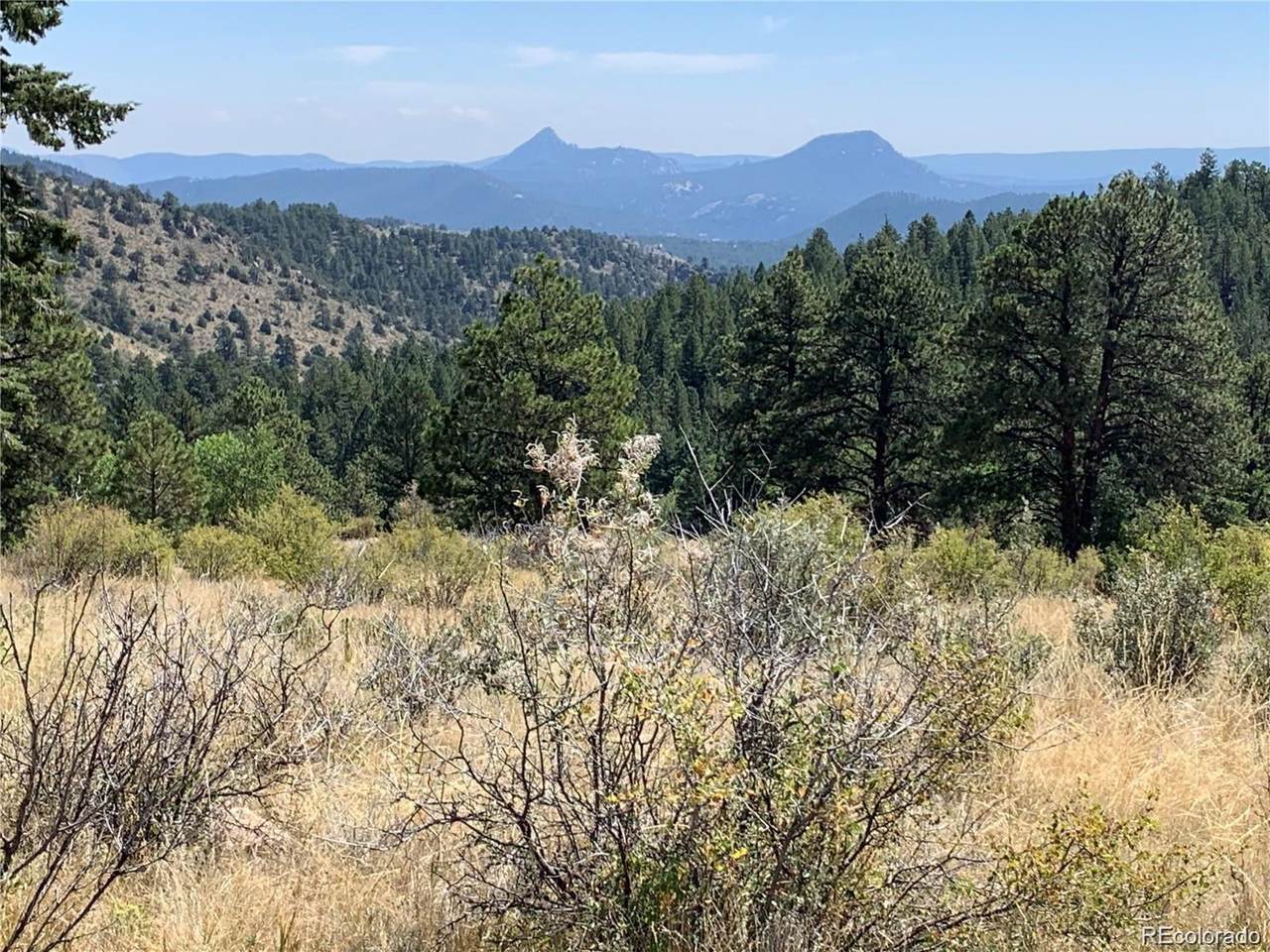 14725 Wetterhorn Peak Trail - Photo 1
