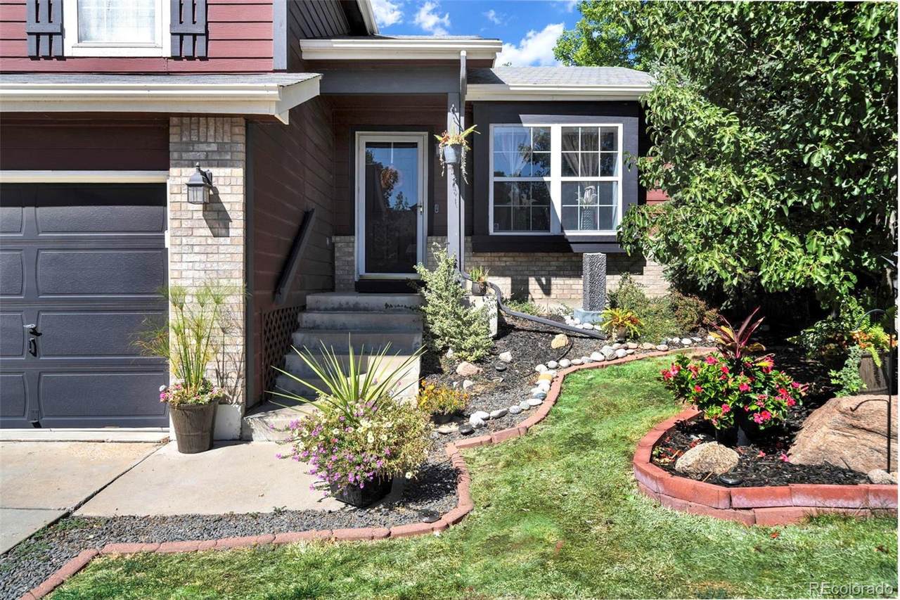 12175 Cherrywood Street - Photo 1