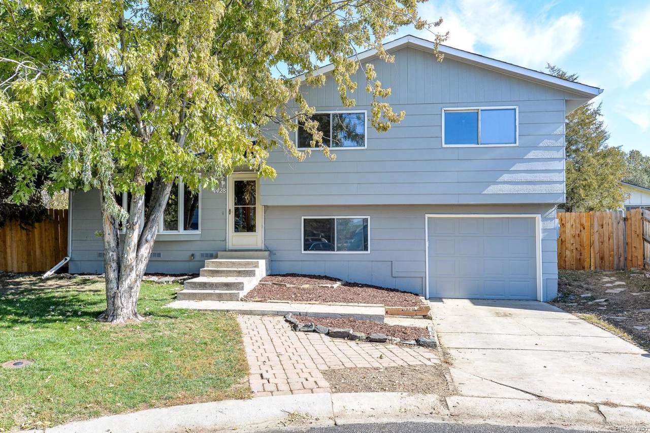 4428 Flattop Court - Photo 1