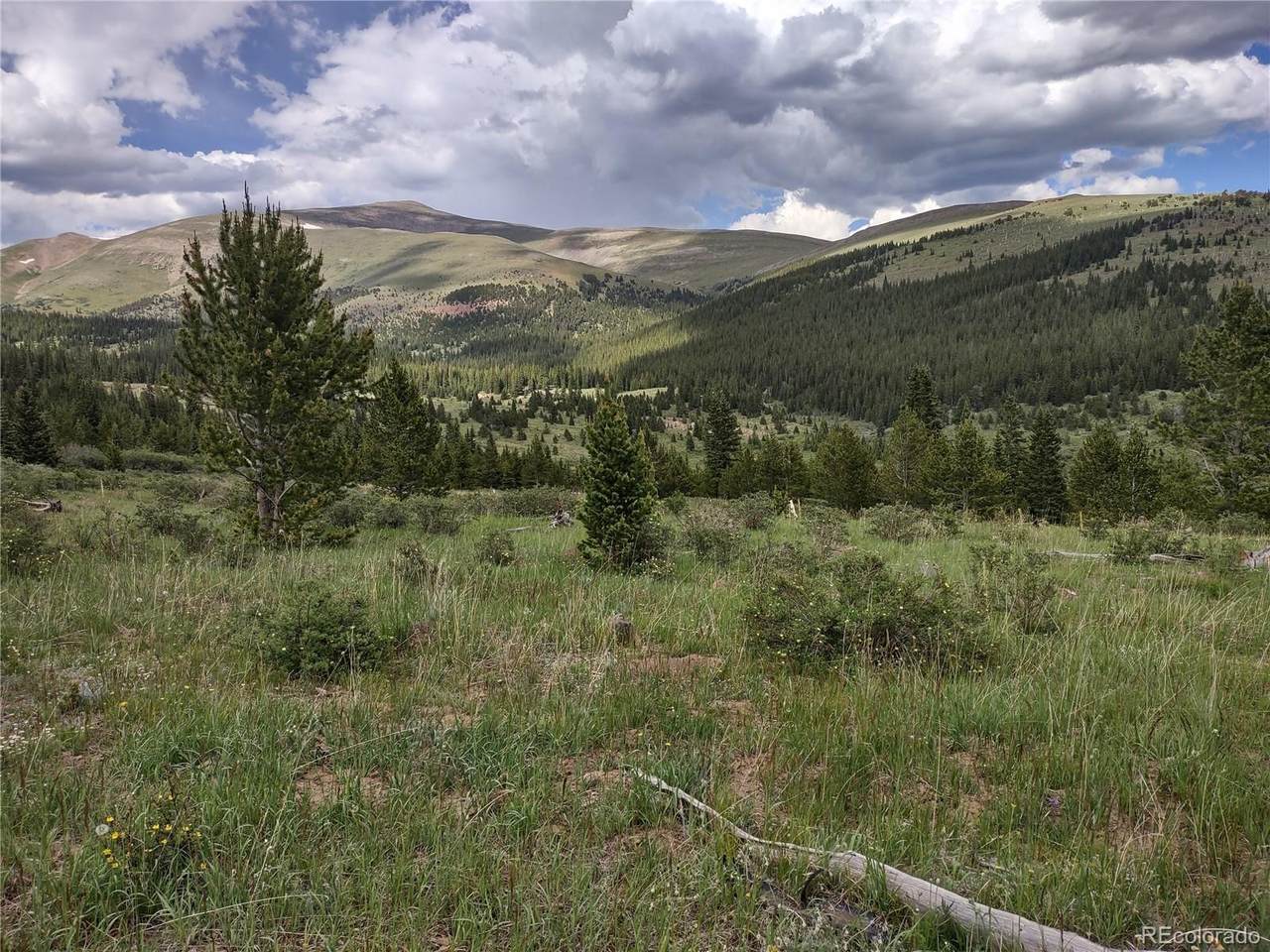 0 Snow Cap Peaks Road - Photo 1
