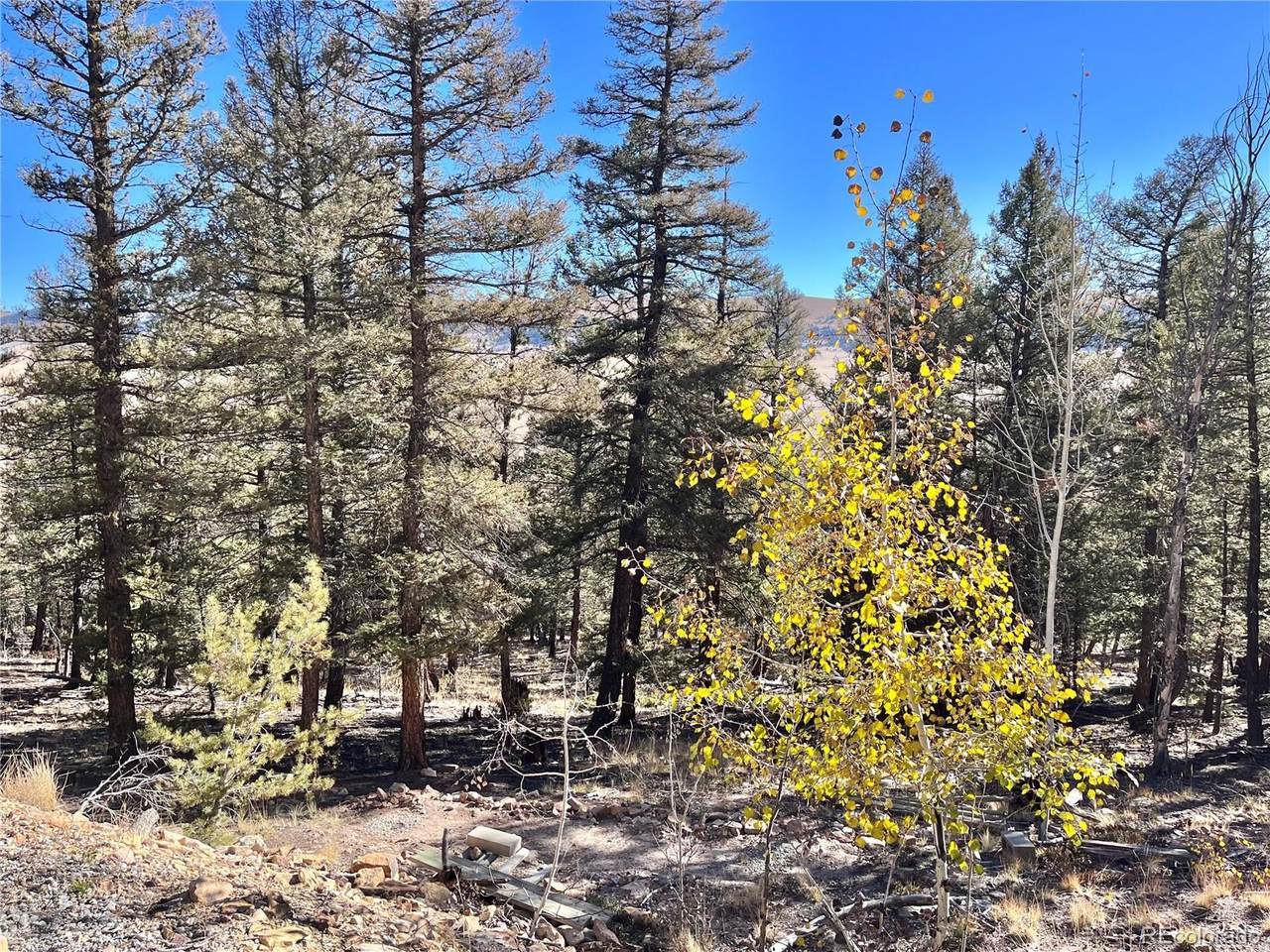 3422 Middle Fork Vista - Photo 1