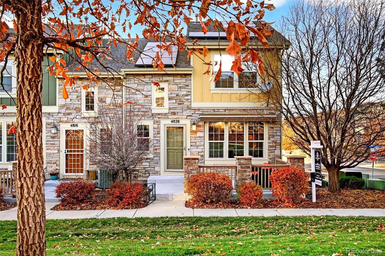 4828 Drowsy Water Road - Photo 1