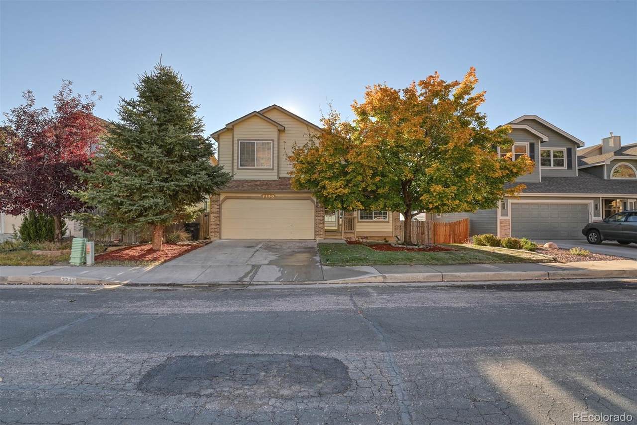 7730 Julynn Road - Photo 1