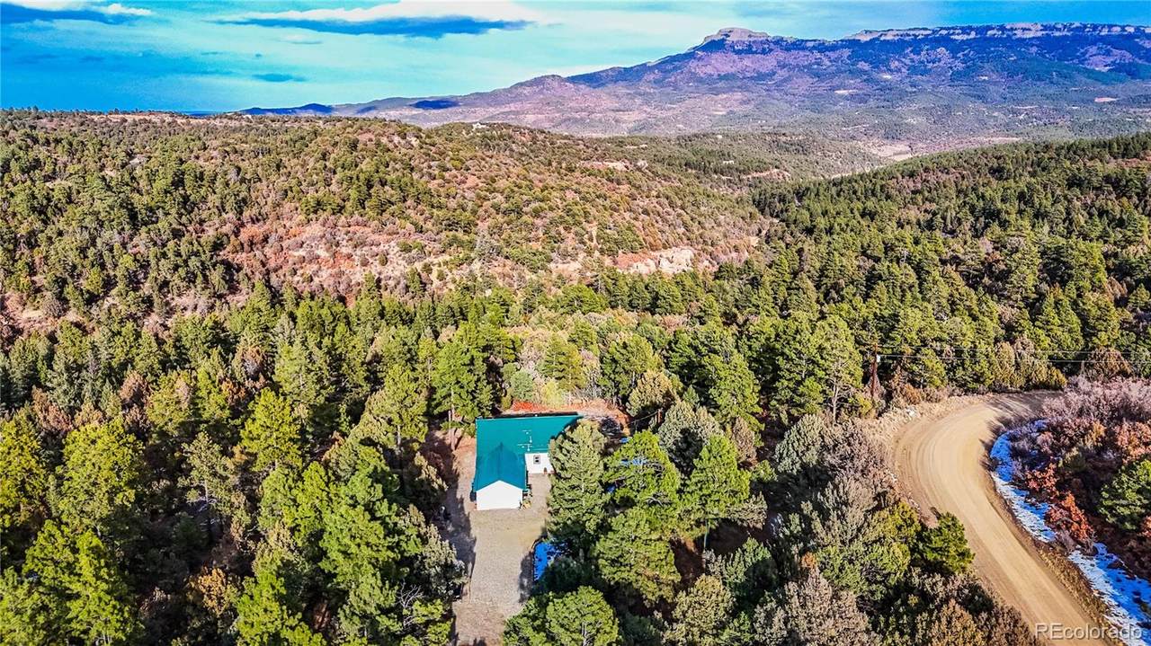 33280 Turkey Creek Lane - Photo 1