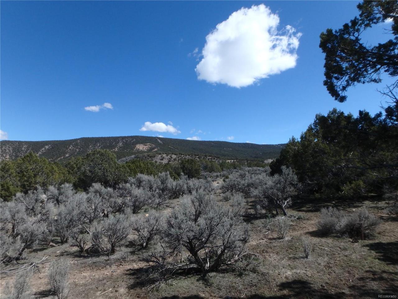 000 Porcupine Creek (B) Road - Photo 1