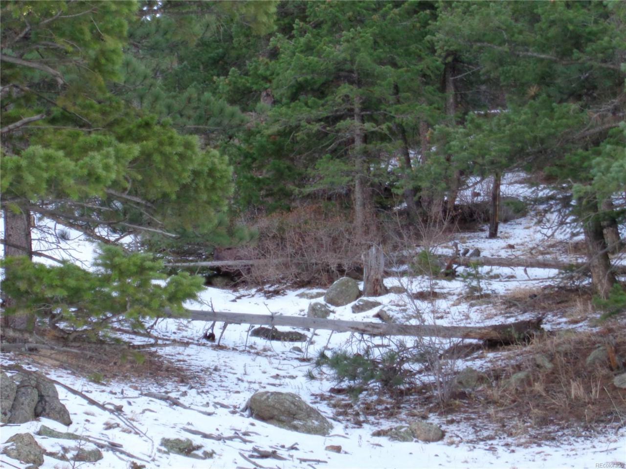 2811 Gross Dam Road, Golden, CO 80403 (MLS #4904705) :: 8z Real Estate