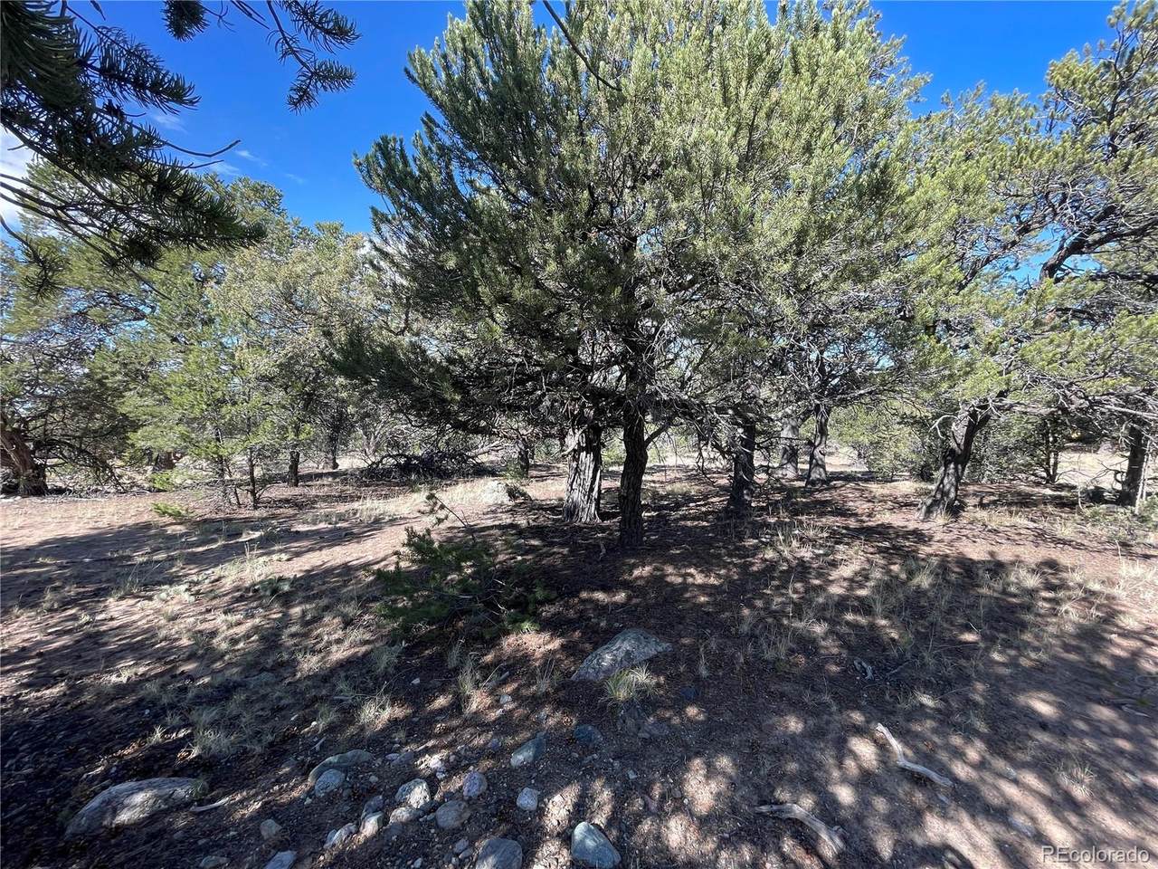 3545 Fallen Tree Place - Photo 1