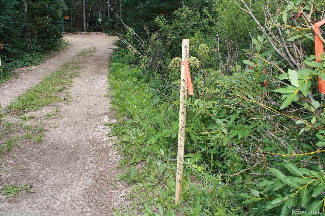 1510 Lump Gulch Road - Photo 1