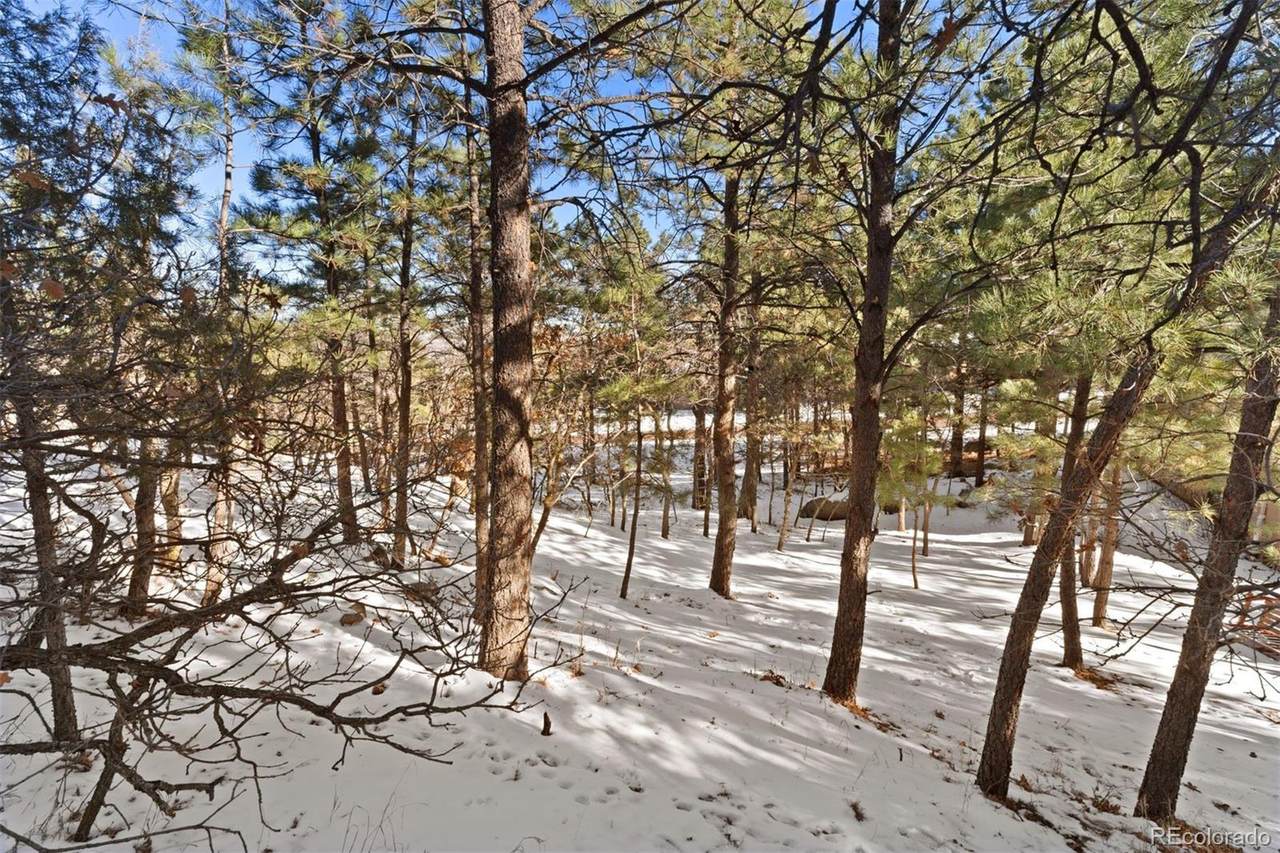 5960 Buttermere Drive - Photo 1