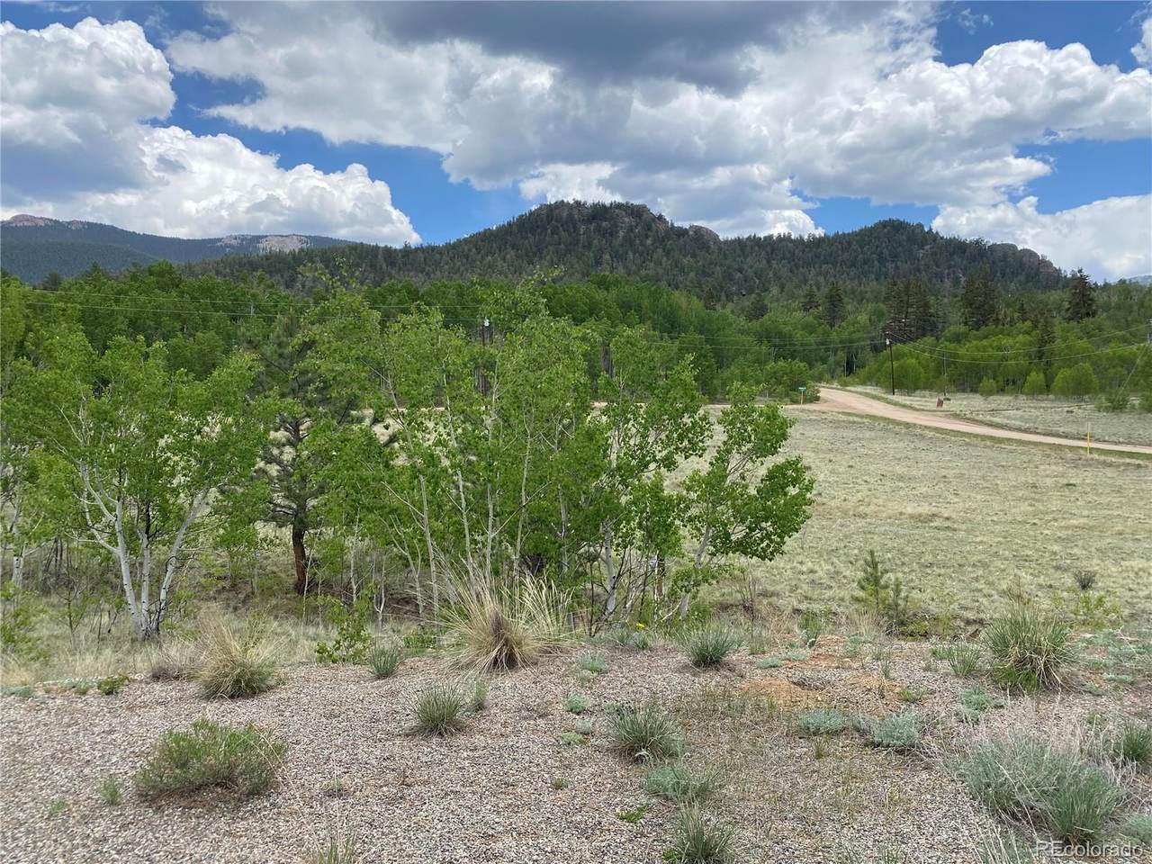 2071 Al Gulch Road - Photo 1