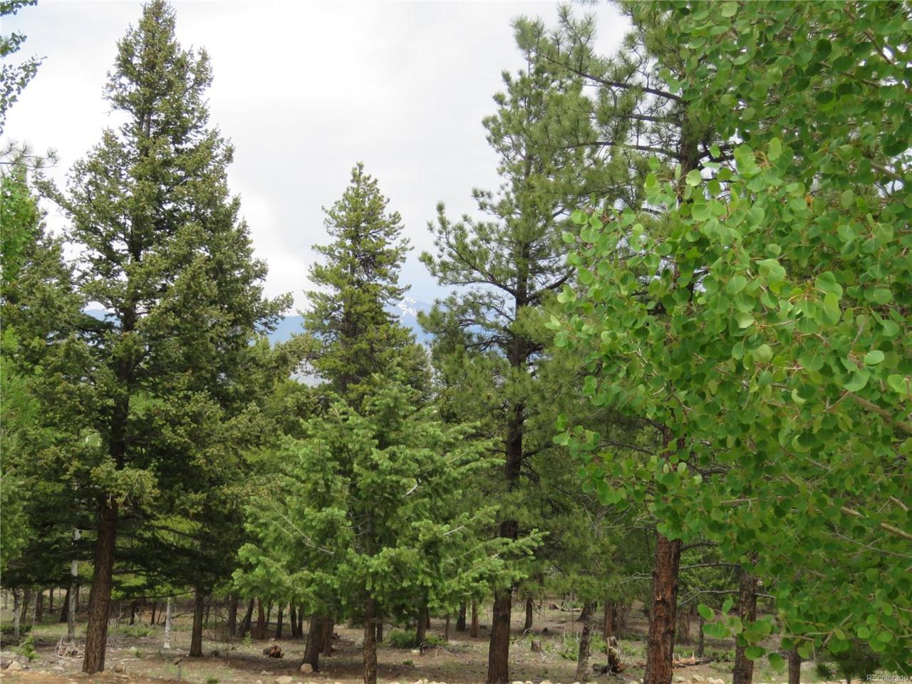 30287 San Isabel Road - Photo 1