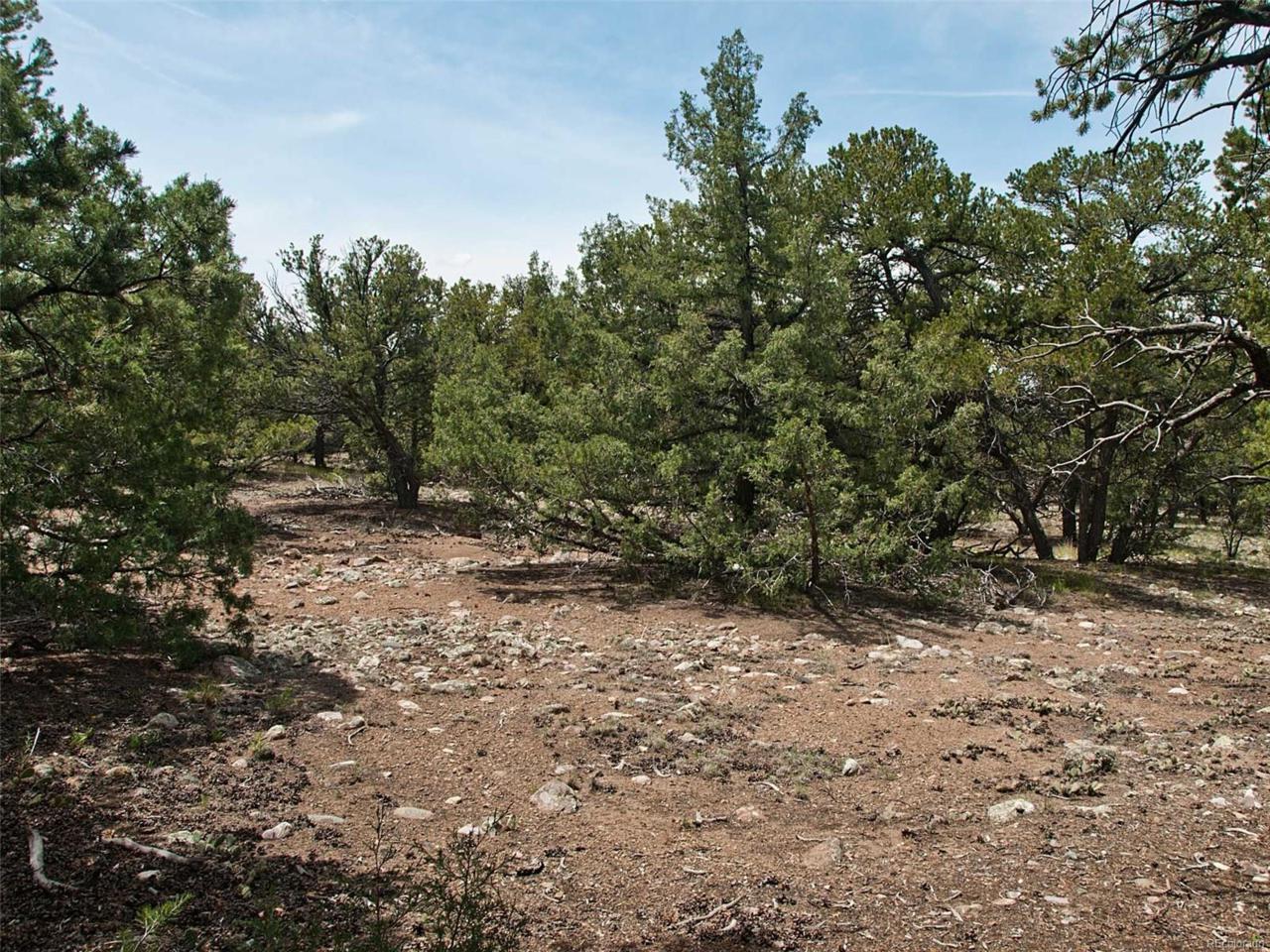 2206 Spanish Creek Rd & 2209 Lone Pine Ol - Photo 1