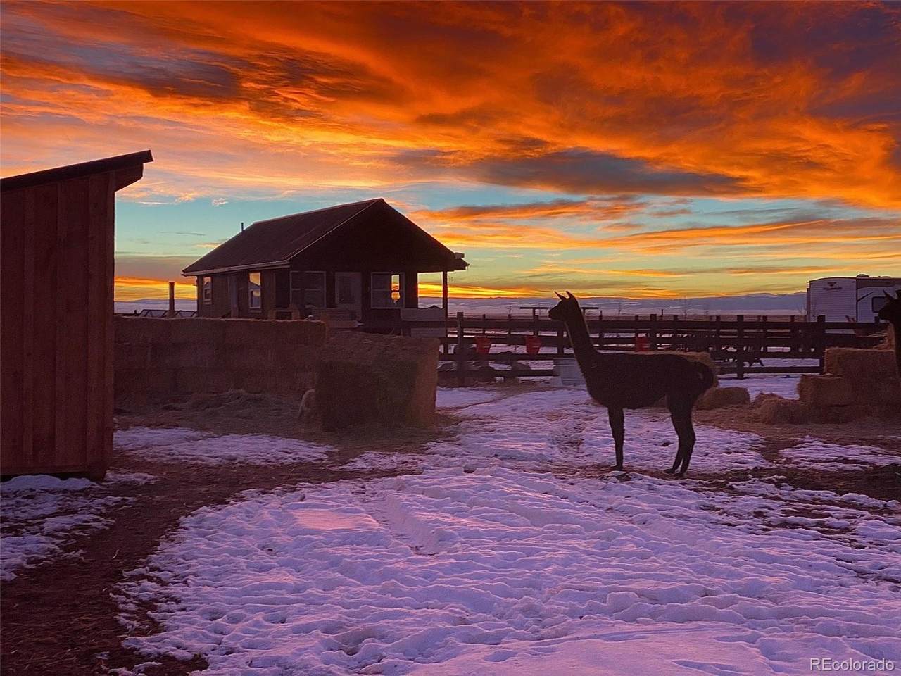 27028 Garo Park Drive - Photo 1