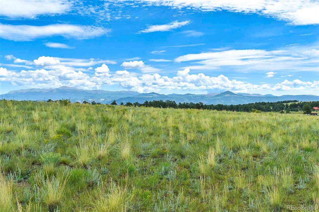 4782 County Road 71 - Photo 1
