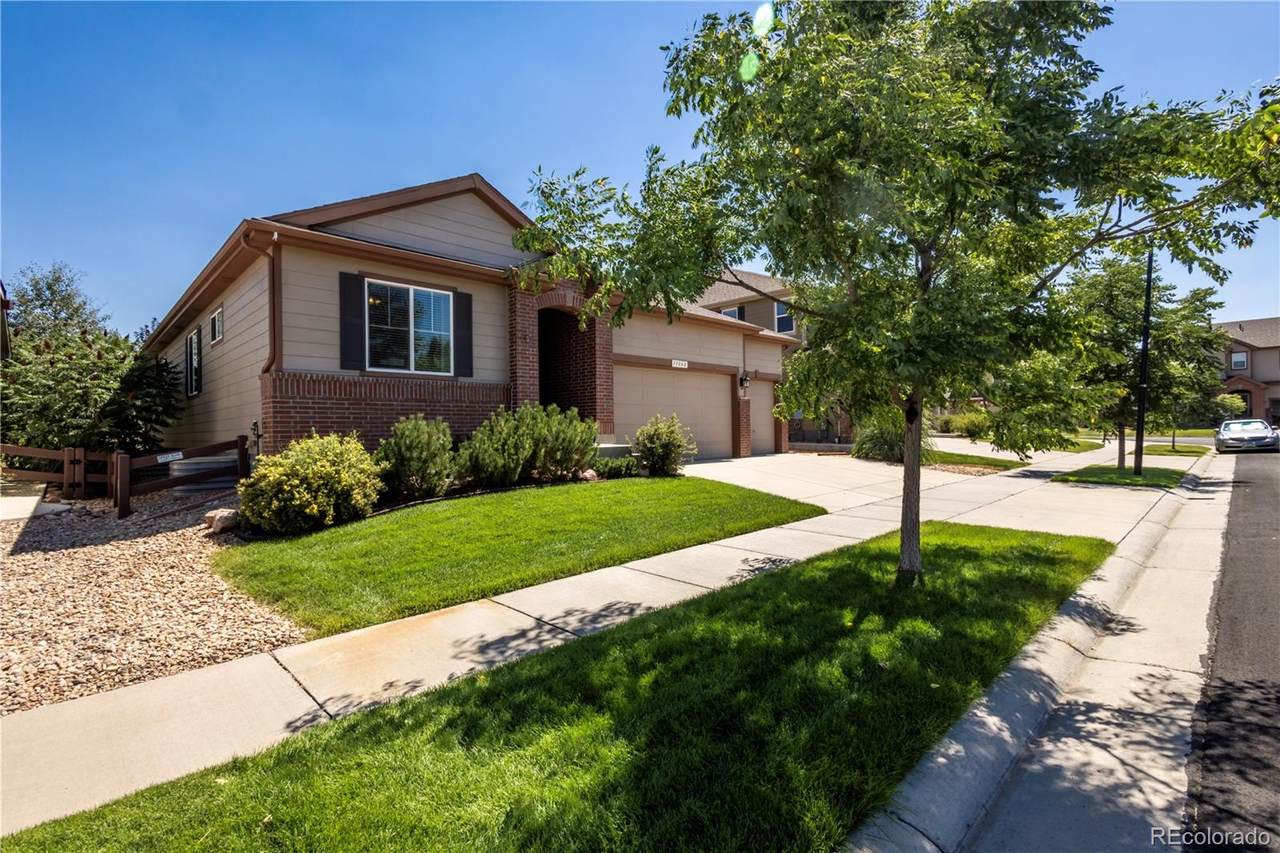 13060 Norway Maple Street - Photo 1