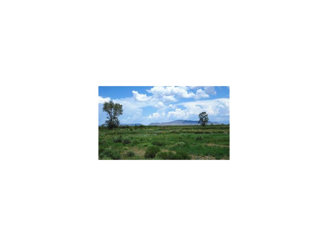 Tract 8 San Antonio River Ranches - Photo 1