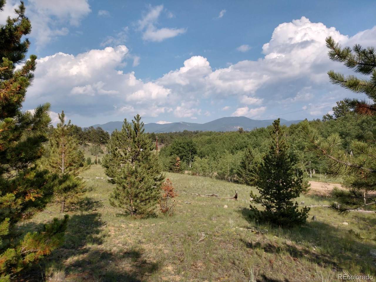217 Saguaro Road - Photo 1