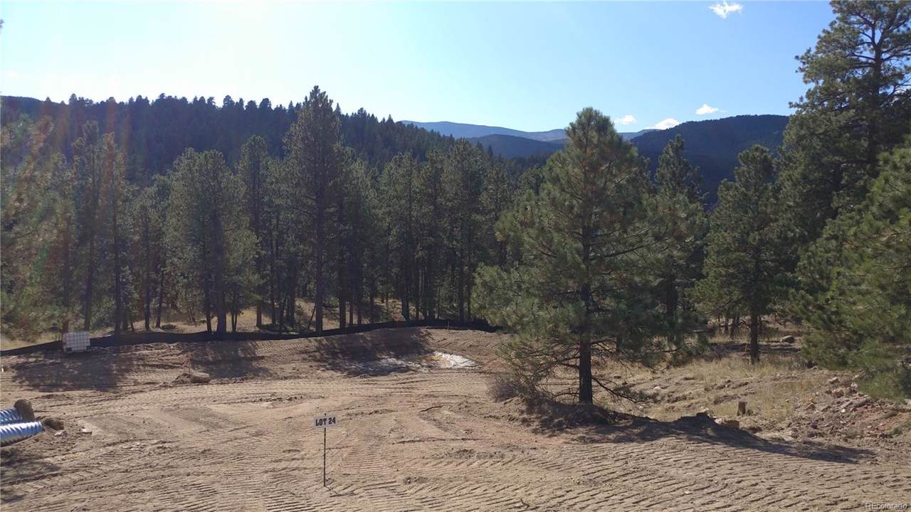28208 Lone Elk Trail - Photo 1