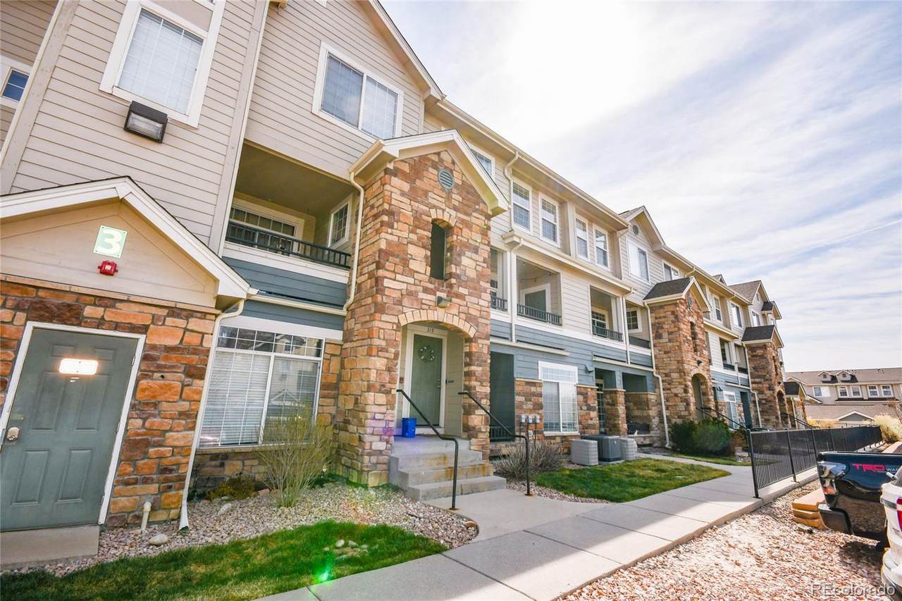 479 Black Feather Loop - Photo 1