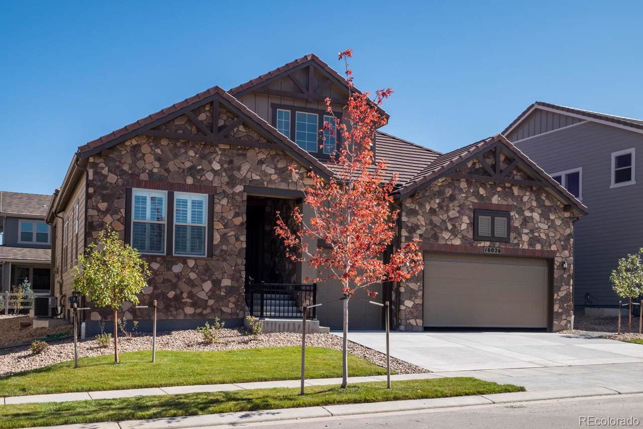 16026 Swan Mountain Drive - Photo 1