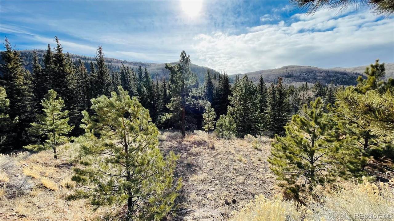 01 Beaver Trail - Photo 1