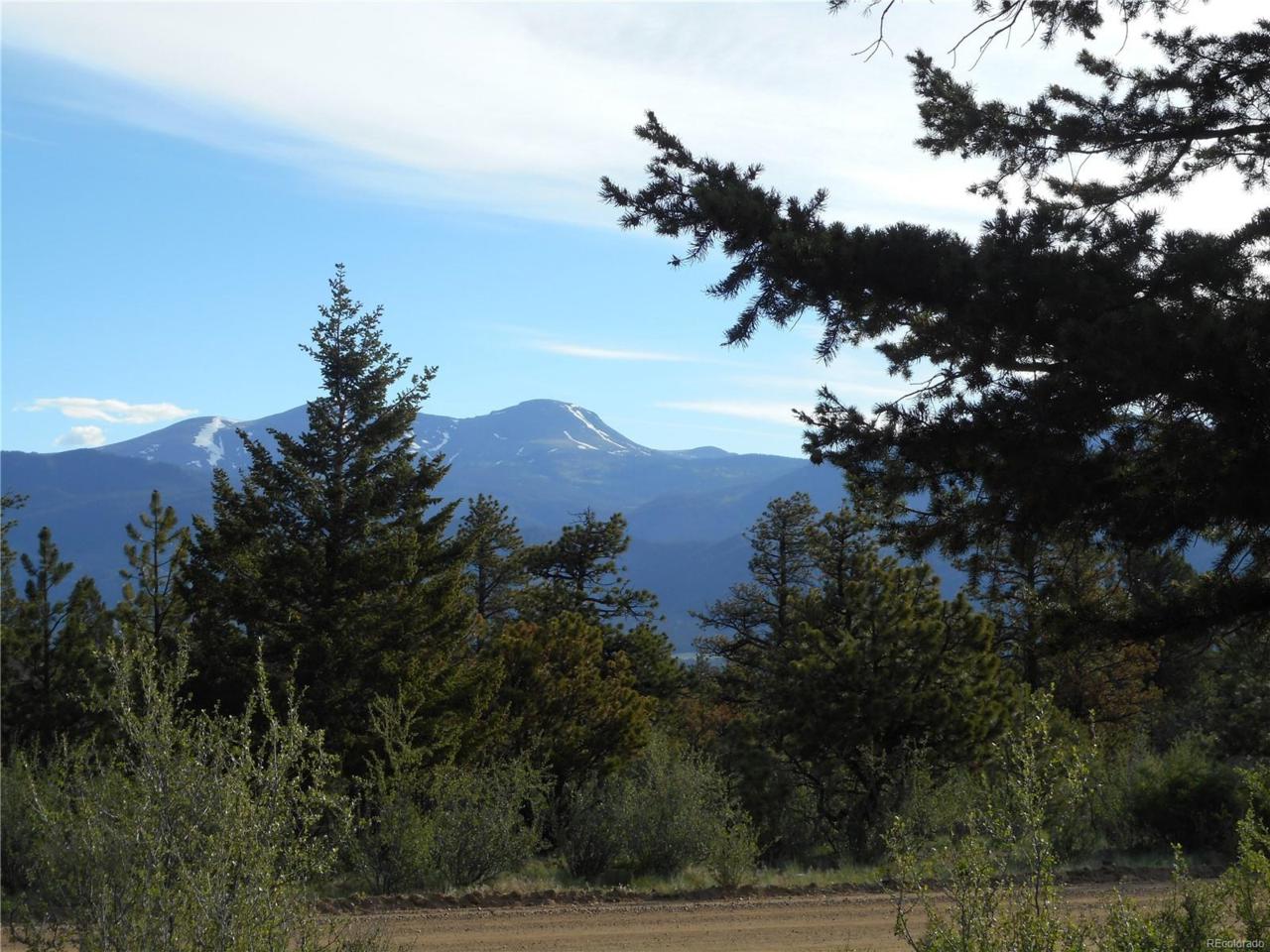 30491 National Forest Drive - Photo 1