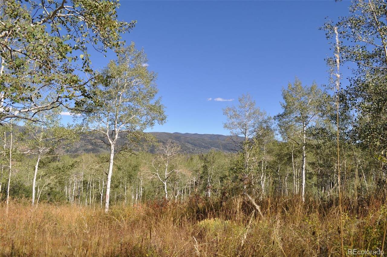 20420 Springboard Trail - Photo 1