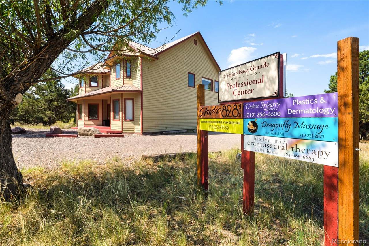 46 Camino Baca Grande - Photo 1