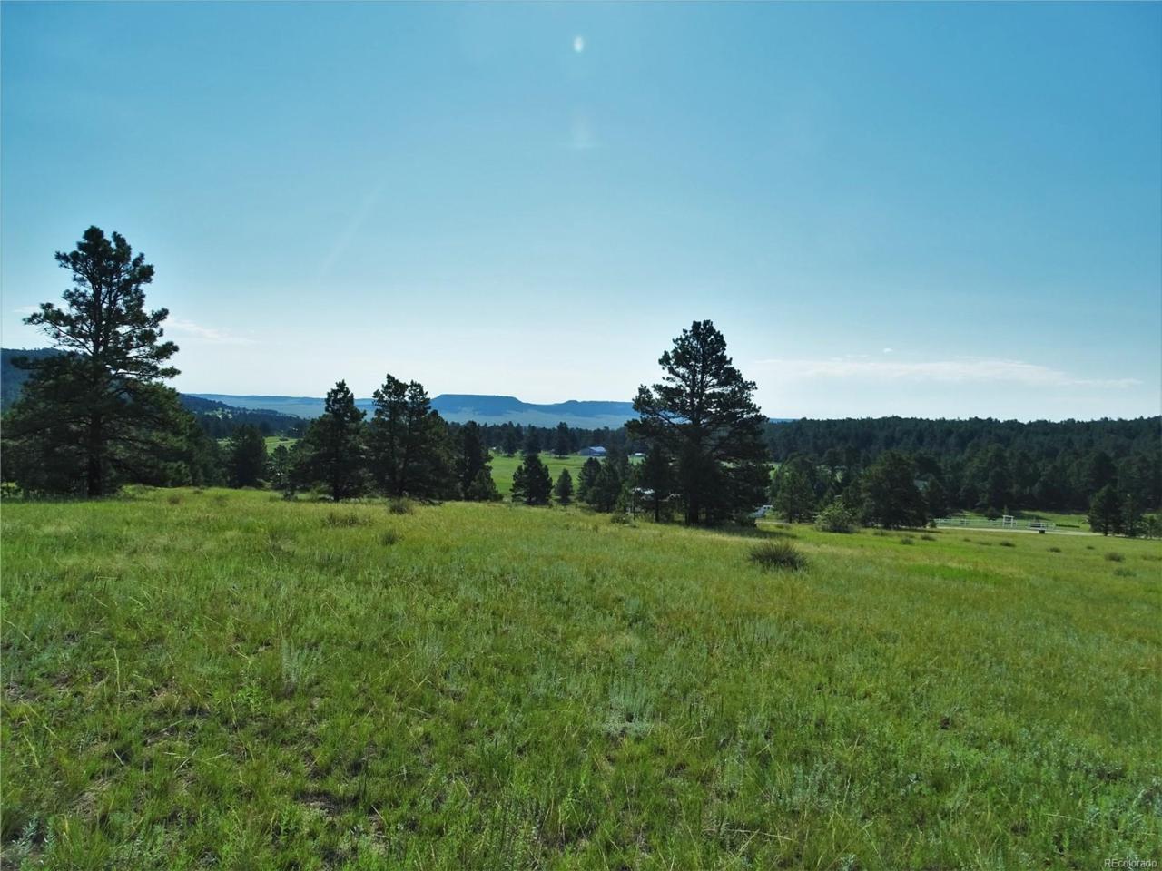 8653 Teacup Grove Road - Photo 1