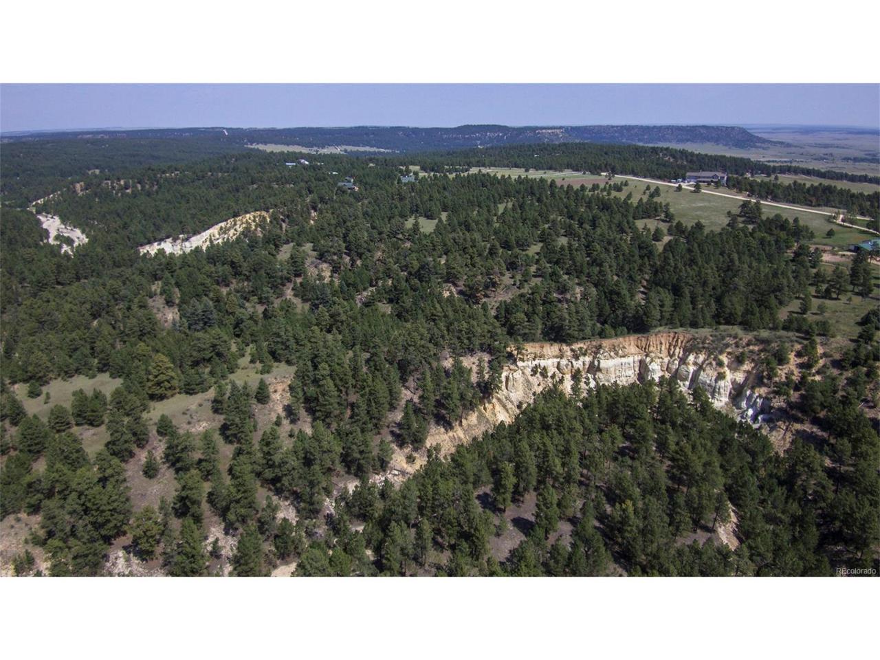 Saddle Blanket Lane - Photo 1