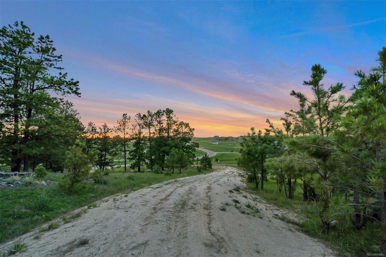 31940 Whittaker Circle - Photo 1