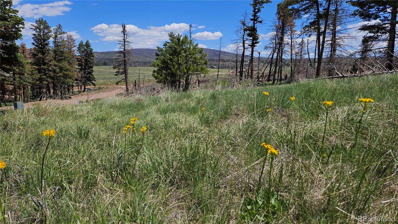 448 Wagon Mesa Loop - Photo 1