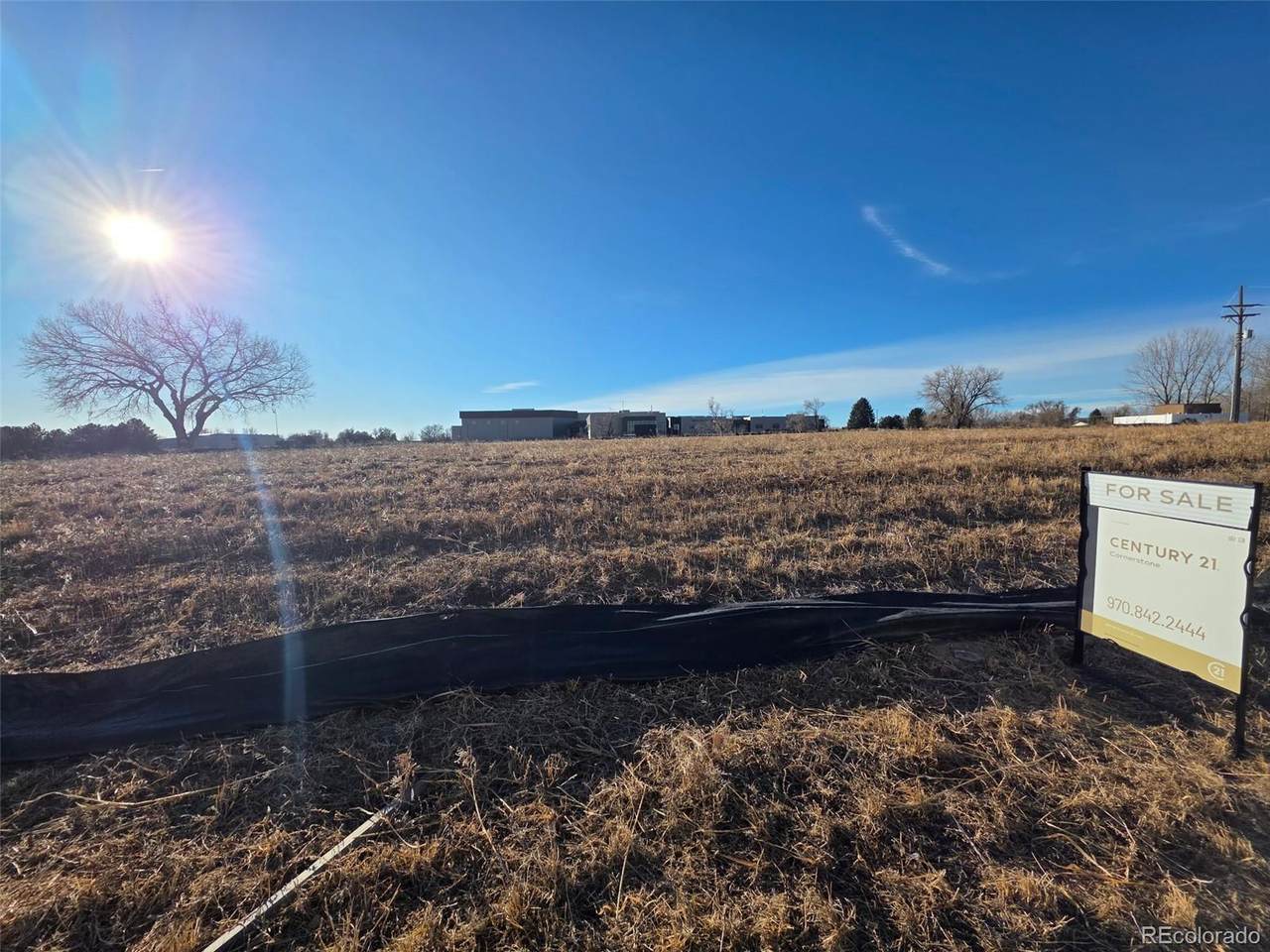 1494 Mill Street - Photo 1