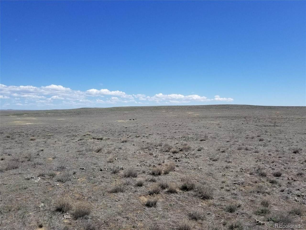 County Road 114 - Photo 1