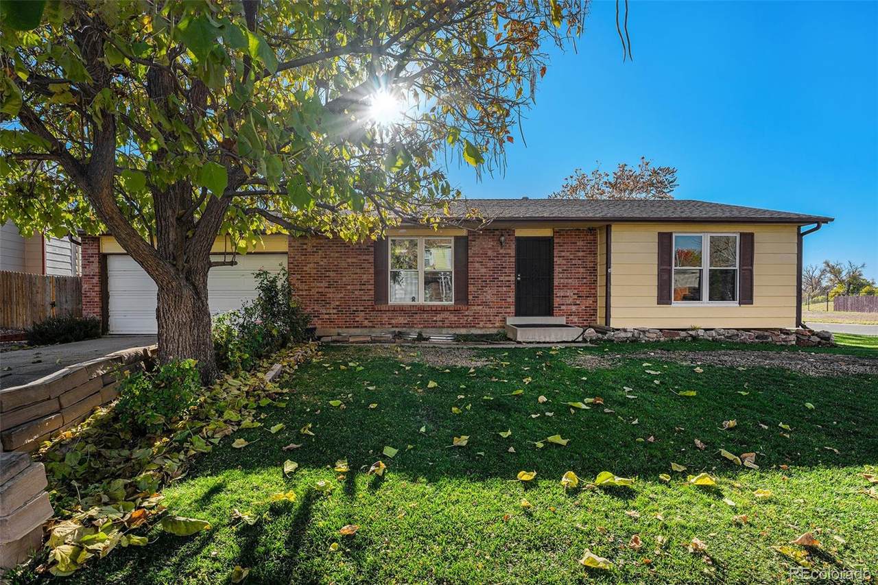 9106 Clermont Drive - Photo 1