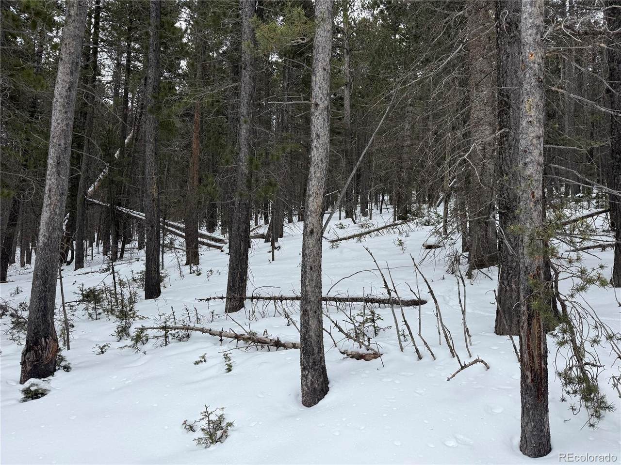 Lot 2759 Purnell Lane - Photo 1