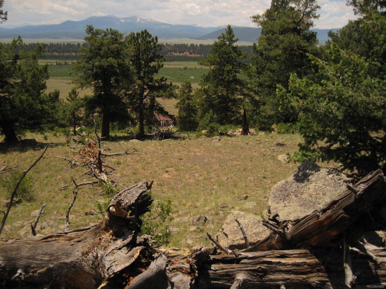 Lot 346 Trout Creek - Photo 1