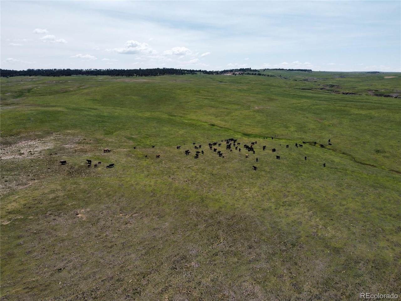 Lot 8 County Road 77 - Photo 1