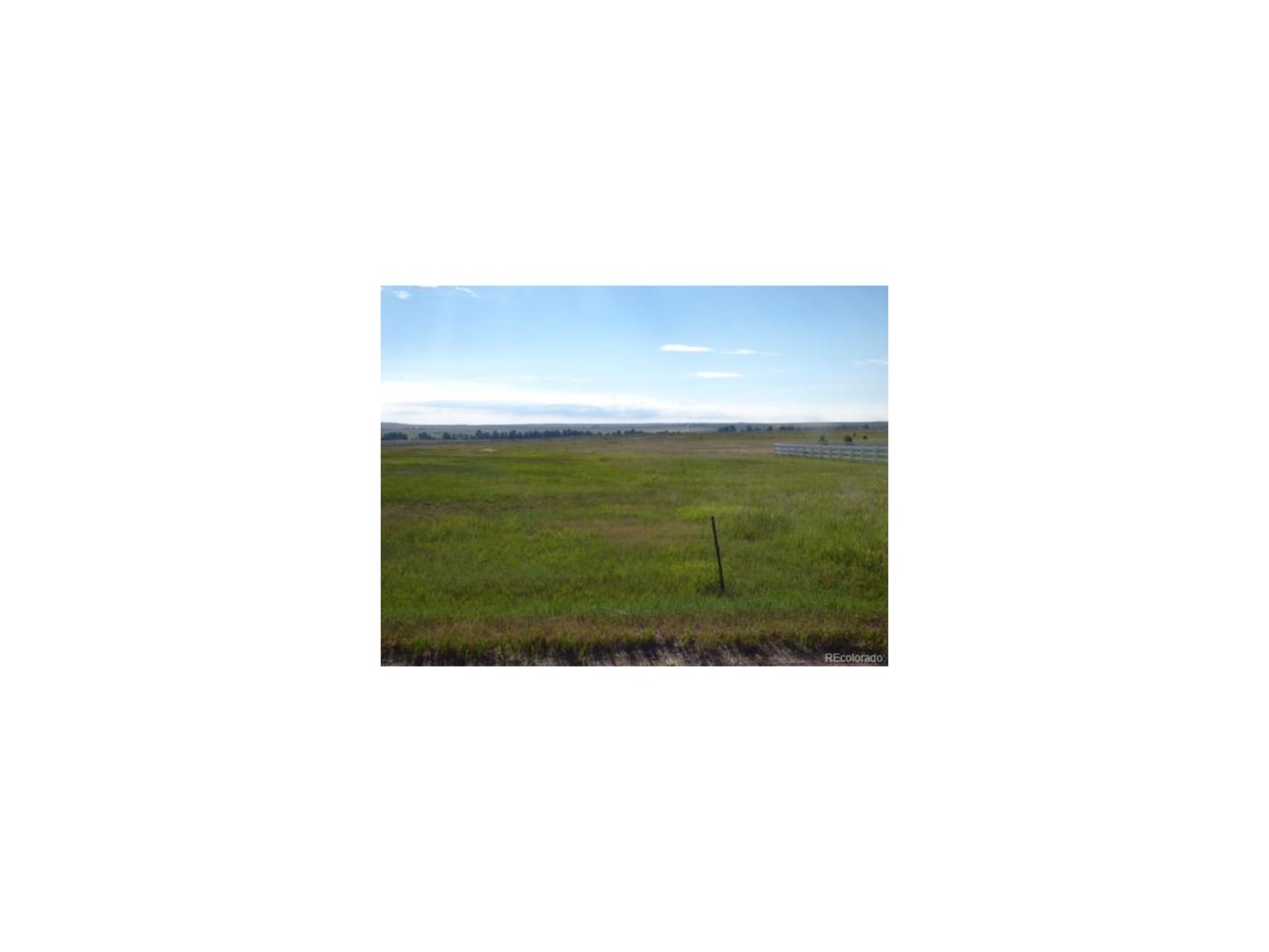 24254 Ben-Kelly Road - Photo 1