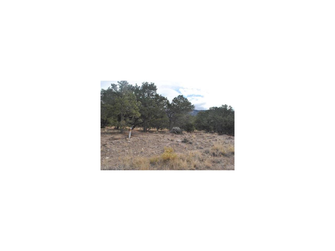 755 Cedarwood Ol - Photo 1