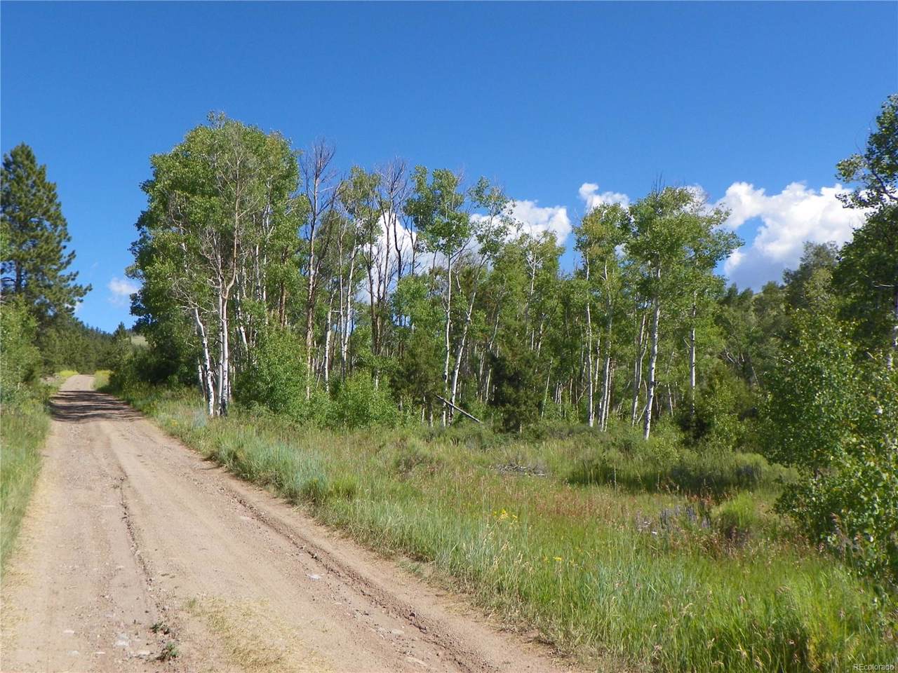 161.50 Acres - Photo 1