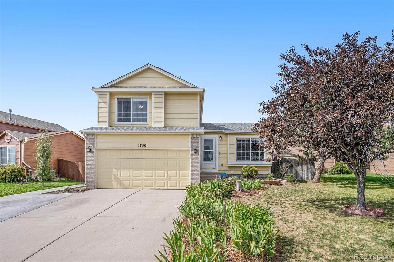 4750 Ramblewood Drive - Photo 1