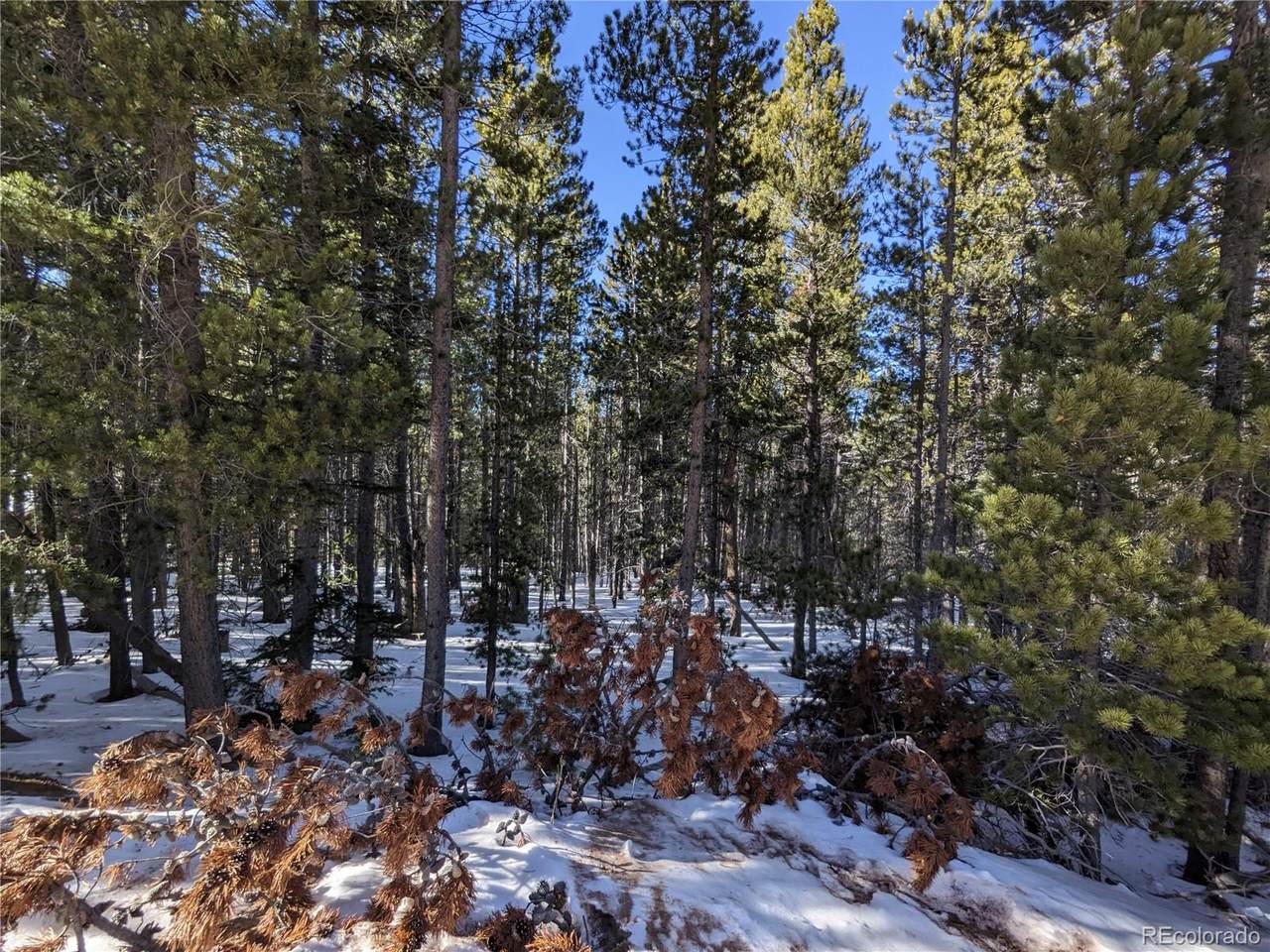 3162 Purnell Lane - Photo 1