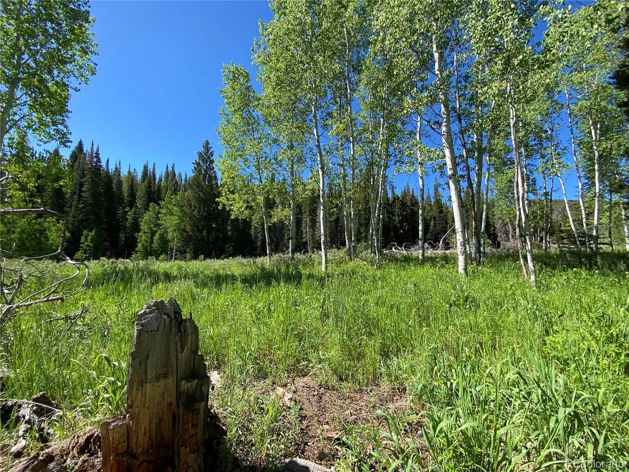 00 Single Tree Way - Photo 1