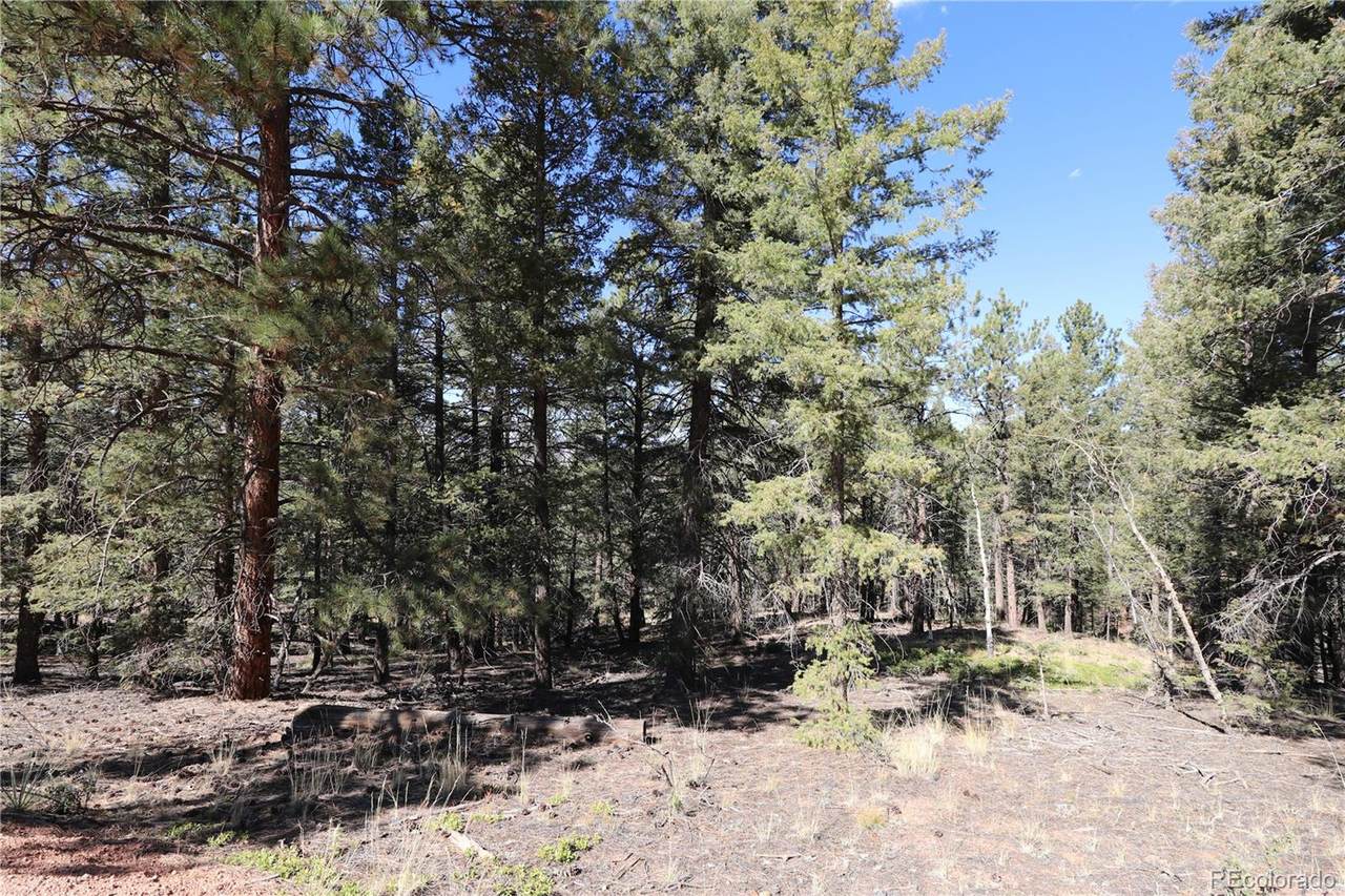 817 Douglas Fir Drive - Photo 1