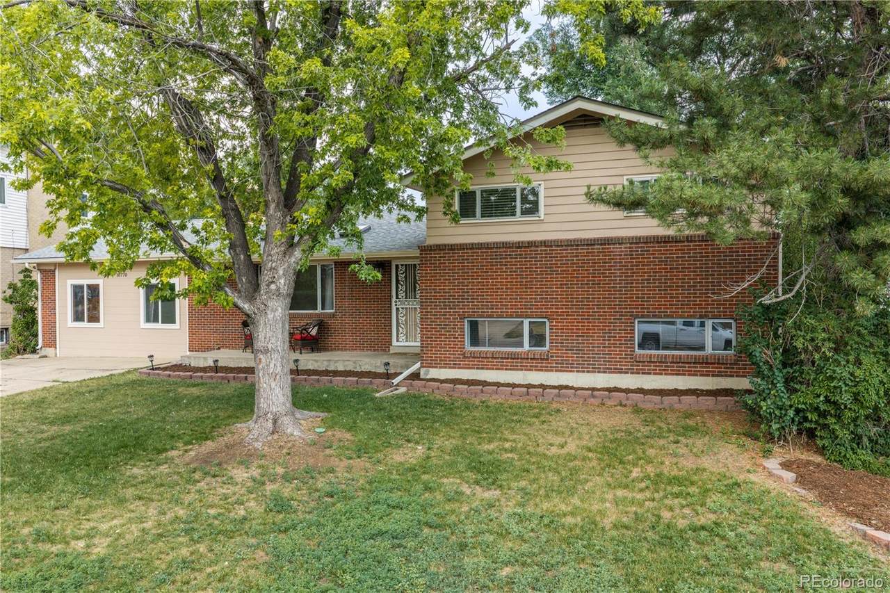 10770 Claire Lane - Photo 1